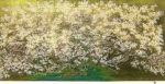 中島千波「千島櫻」シルクスクリーン50×100cm