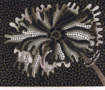 草間彌生「花 XL」シルクスクリーン60.6×72.7cm