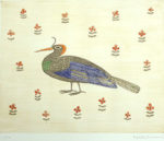 南桂子「ブラジルの鳥」銅版画28.8×35.7cm
