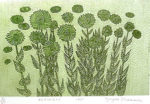 草間彌生「FLOWERS」銅版画27.5×42cm