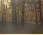 星襄一「林の中」木版画 1976年
