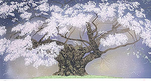 中島千波「樹霊淡墨櫻」版画 2003年