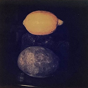 ドナルド・サルタン「Egg Lemons+Limes」写真 1985年