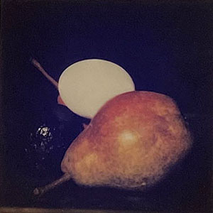 ドナルド・サルタン「Eggs+Lemons」写真 1986年