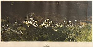 アンドリュー・ワイエス「May Day」版画 (1971年)