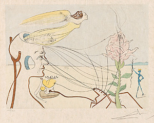 サルバドール・ダリ「薔薇:La Rose」銅版画 1976-1977年
