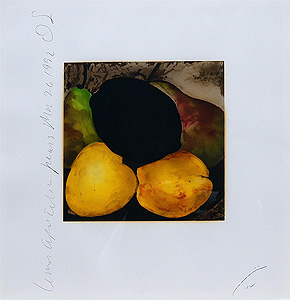 ドナルド・サルタン「レモンと洋梨：Lemon Juice and Pears」版画 1992年