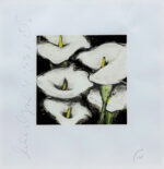 ドナルド・サルタン「ユリ:Lilies」版画 1992年