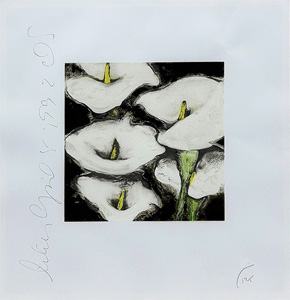 ドナルド・サルタン「ユリ：Lilies」版画 1992年