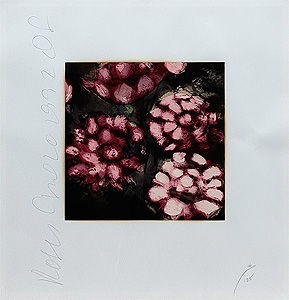 ドナルド・サルタン「バラ：Roses」版画 1992年