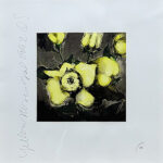 ドナルド・サルタン「黄色いバラ:Yellow Roses」版画 1992年