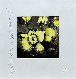 ドナルド・サルタン「黄色いバラ：Yellow Roses」版画 1992年
