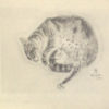 藤田嗣治「猫の本 セミラミス」